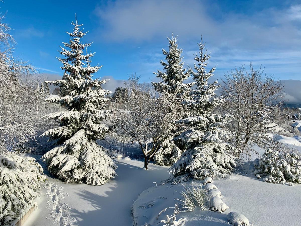 Haus Schneekappe Lägenhet Winterberg Exteriör bild